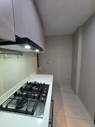 The Visionaire (D27), Condominium #497950381